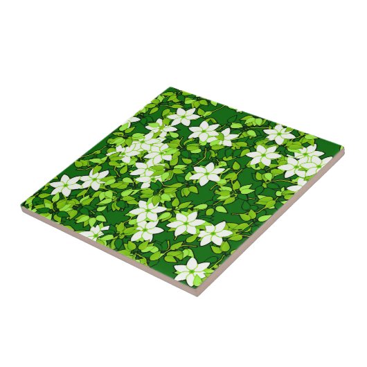 White Jasmine unter den grünen Blätter Fliese (Seite)