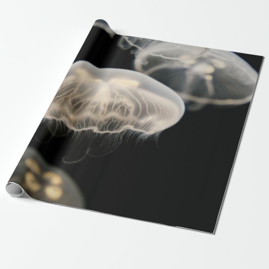 WHITE JELLYFISH GESCHENKPAPIER (Ungerollt)