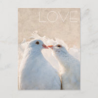White Kissing Doves - Liebe anpassbar