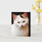 White Kitte Note Card Karte (Gelbe Blume)
