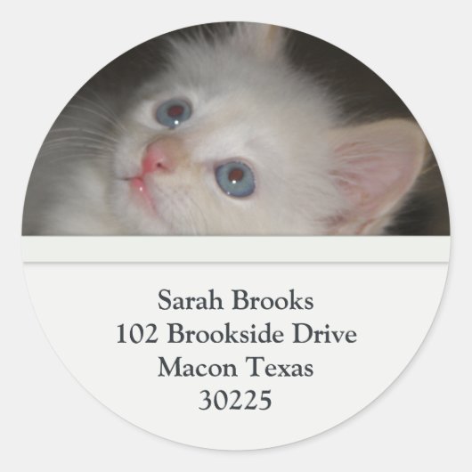 White Kitten Address Labels Runder Aufkleber (Vorderseite)
