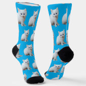 White Kitten Blue Hintergrund Socken (Gewinkelt)