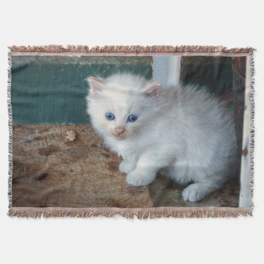 White Kitten Decke (Vorderseite)