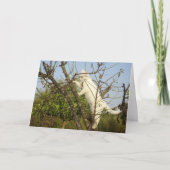 White Kitten in Almond Tree Card Karte (Vorderseite)