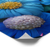 White Kitten in einer mystischen Fantasie Poster (Ecke)