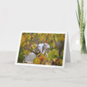 White Kitten in Persimmon Tree Karte (Vorderseite)