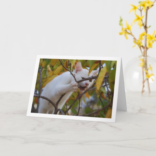 White Kitten in Persimmon Tree Karte (Gelbe Blume)