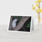 White Kitten in Tree Portrait Karte (Gelbe Blume)