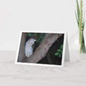 White Kitten in Tree Portrait Karte (Vorderseite)