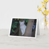 White Kitten in Tree Portrait Karte (Gelbe Blume)
