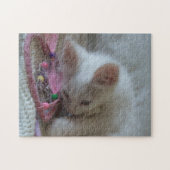 White Kitten Jigsaw Puzzle (Horizontal)