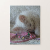White Kitten Jigsaw Puzzle (Vertikal)