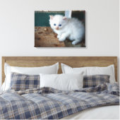 White Kitten Leinwanddruck (Insitu (Schlafzimmer))