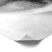 White Kitten mit blauen Augen Poster (Ecke)