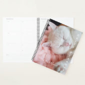 White Kitten Pink Bed - Daily Planner - HAMbWG Planer (Anzeige)