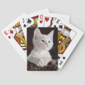 White kitten playing cards. spielkarten (Rückseite)