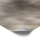 White Kitten Poster (Ecke)