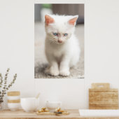 White Kitten Poster (Küche)