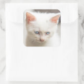 White Kitten Quadratischer Aufkleber (Tasche)