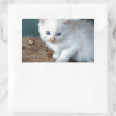 White Kitten Rechteckiger Aufkleber (Tasche)