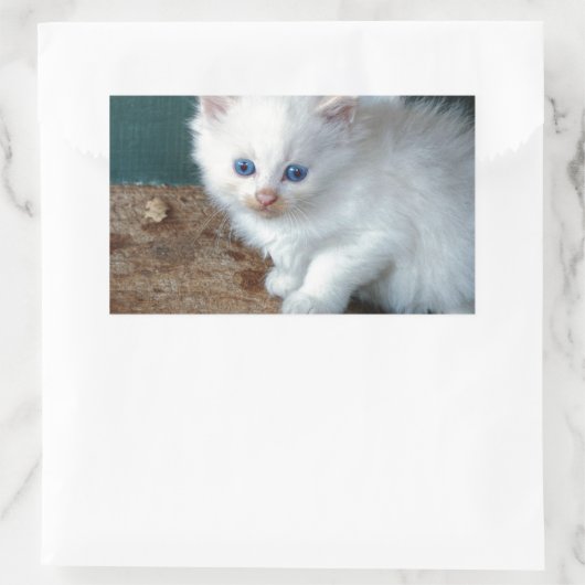 White Kitten Rechteckiger Aufkleber (Tasche)