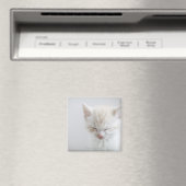 White Kitten Schlafen Magnet (In Situ (Geschirrspüler))
