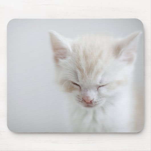 White Kitten Schlafen Mousepad (Vorne)