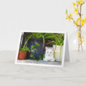 White Kitten und Garden Pflanze Karte (Gelbe Blume)