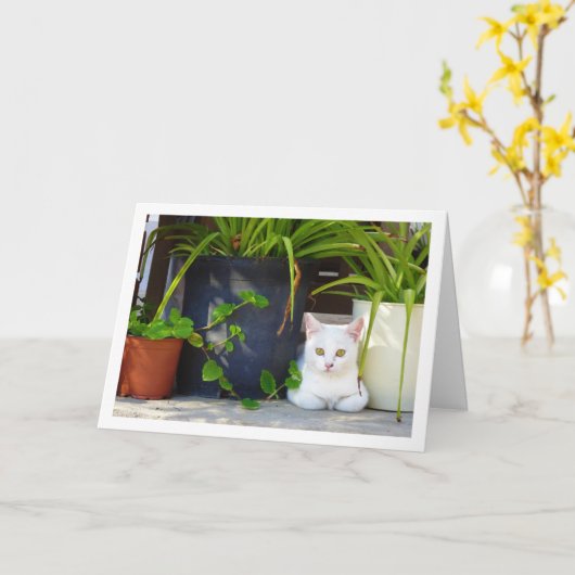 White Kitten und Garden Pflanze Karte (Gelbe Blume)