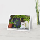 White Kitten und Garden Pflanze Karte (Vorderseite)