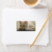 White Kitty Address Labels Adressaufkleber (Insitu)