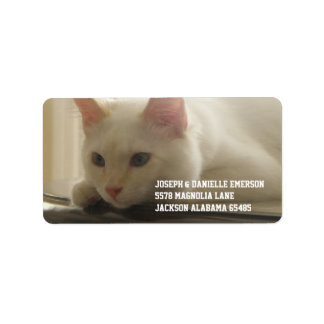 White Kitty Address Labels Adressaufkleber