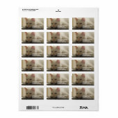 White Kitty Address Labels Adressaufkleber (Vorne)