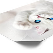 White Kitty Foto Print (Ecke)