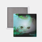 White Kitty Magnet (Vorderseite/Rückseite)