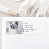White Kitty Portrait | ABSTRAKT | Wasserfarbe (Insitu)