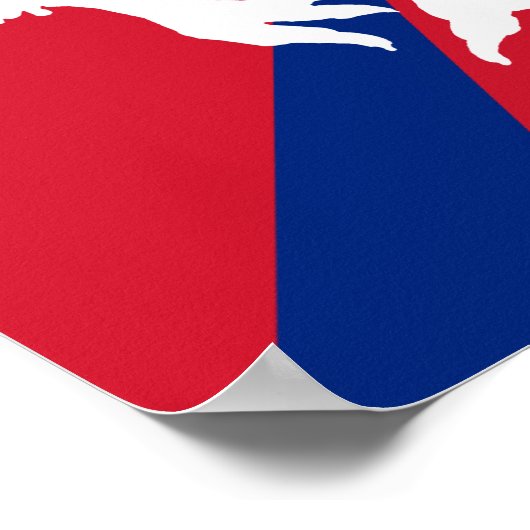 White Kiwi Poster (Ecke)