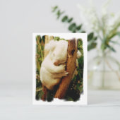 White Koala Bear Postcard Postkarte (Stehend Vorderseite)