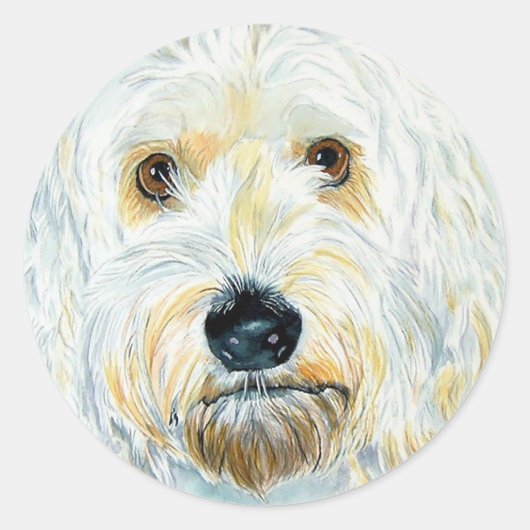 White Labradoodle Maggie Stickers (Vorderseite)