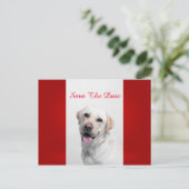 White Labrador Ankündigungspostkarte (Stehend Vorderseite)