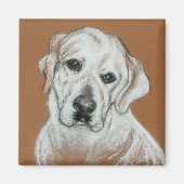 White Labrador Magnet (Vorne)