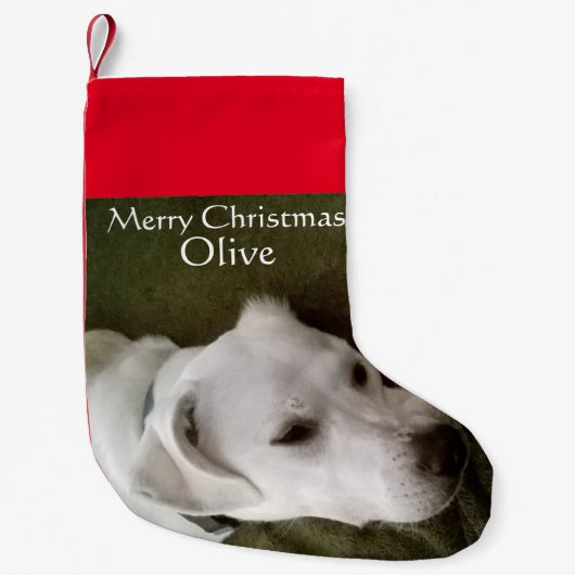 White Labrador Mix Dog Adorable Kleiner Weihnachtsstrumpf (Vorderseite)