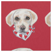 WHITE LABRADOR RETRIEVER STOFF (Nahaufnahme)