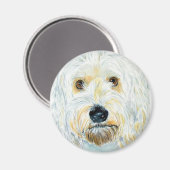 White Labrdoodle Maggie Magnet (Vorderseite/Rückseite)