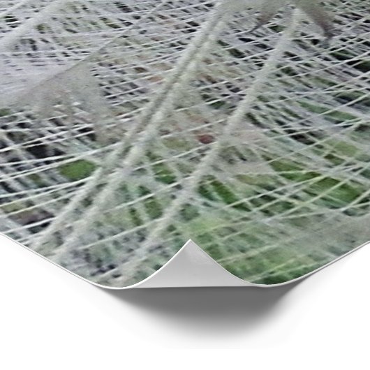 White Lace Poster (Ecke)