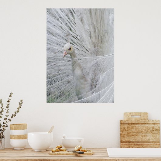 White Lace Poster (Küche)