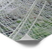 White Lace Poster (Ecke)