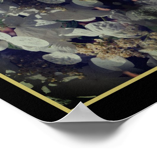 White Lacecap Hydrangea Floral Abstrakt Poster (Ecke)