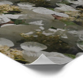 White Lacecap Hydrangea Floral Mirror Abstrakt Poster (Ecke)