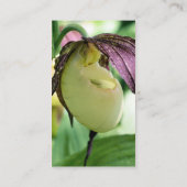White Lady Slipper Orchid Blume Business Card Visitenkarte (Rückseite)